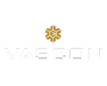 Vascon